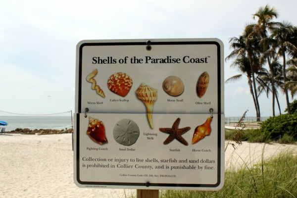 MustDo.com | Naples, Florida beaches, shells, beach combing sign for Shells of the Paradise Coast.