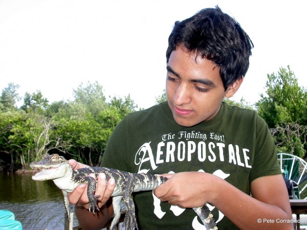 MustDo.com | Everglades Day Safari Captain Bob's Excellent Adventures boy holds a baby alligator. 