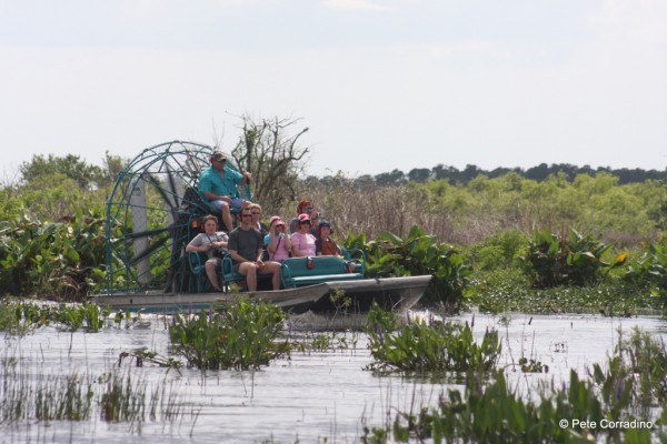 MustDo.com | Take an airboat ride with Everglades Day Safari Fort Myers, Florida.