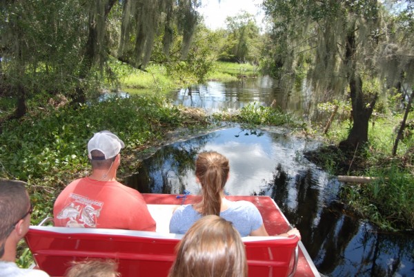 MustDo.com | Airboat ride on the Peace River with Peace River Charters, Sarasota, Florida