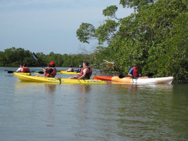 MustDo.com | Naples Kayak Company guided kayak tours Naples & Everglades City, Florida