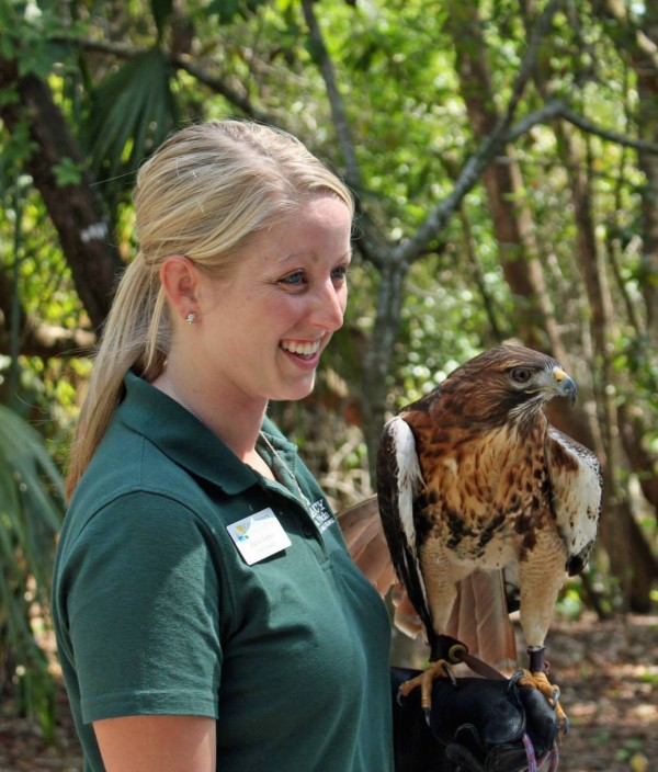 MustDo.com | Conservancy of Southwest Florida Nature Center in Naples, Florida features more than 150 species of local wildlife.