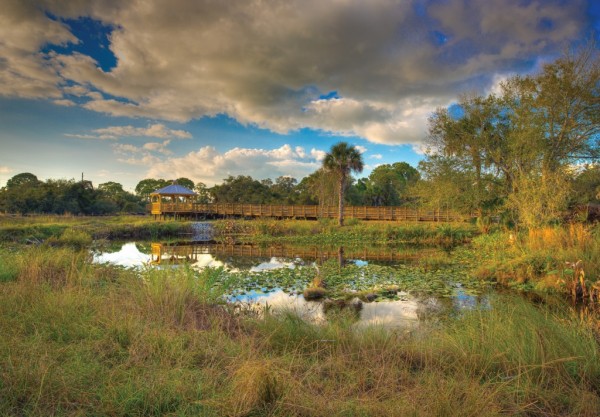 MustDo.com | Conservancy of Southwest Nature Center Naples, Florida is a 21-acre nature preserve that features more than 150 species of local wildlife and a 500-gallon touch tank.