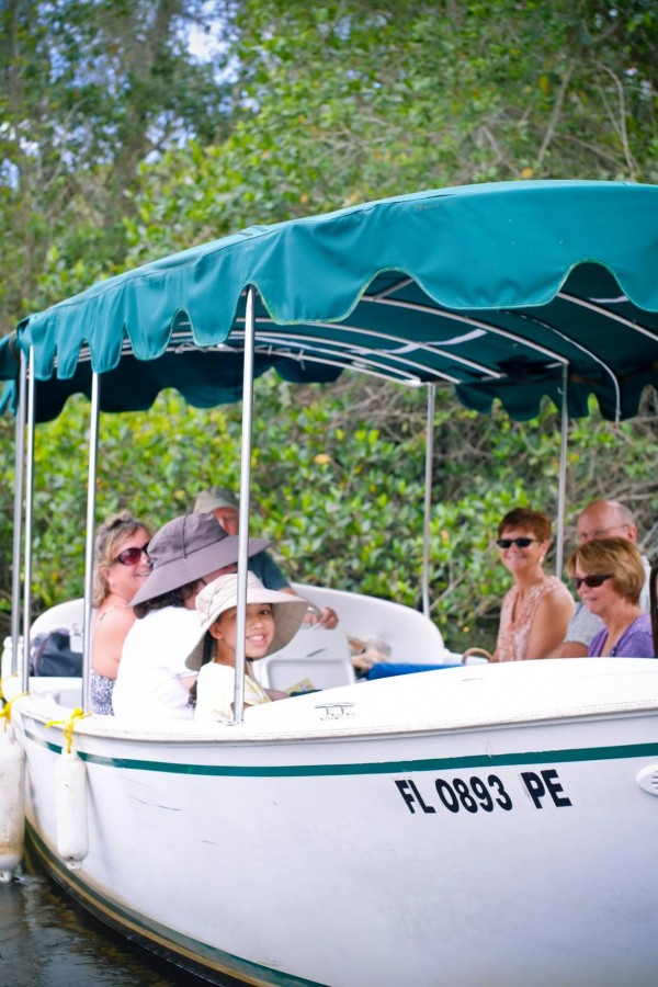 MustDo.com | Take a guided tour of the Gordon River aboard a Conservancy of Southwest Florida Nature Center electric boat Naples, FL
