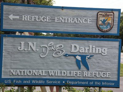 JN "Ding" Darling Wildlife Refuge Sanibel Island Must Do