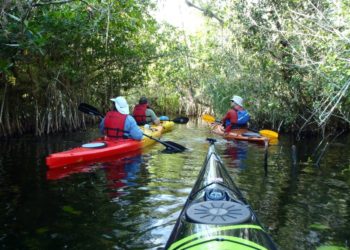 Must Do Naples activities Rookery Bay guided kayak tour Naples Kayak Company, Naples, Florida.
