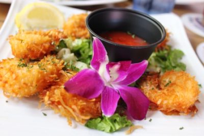 Siesta Key Oyster Bar Must Do top 10 dining
