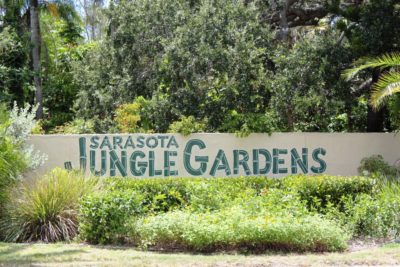 Sarasota Jungle Gardens in Sarasota features 10 acres of tropical vegetation, jungle trails, exotic birds, crocodiles and more.
