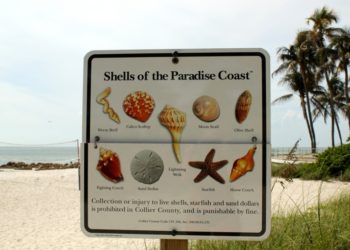 MustDo.com | Naples, Florida beaches, shells, beach combing sign for Shells of the Paradise Coast.