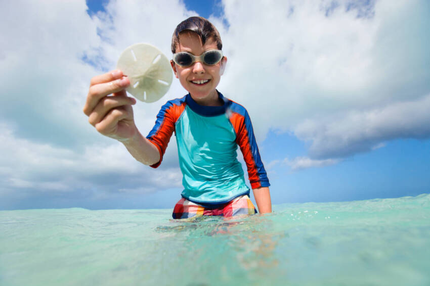 Young boy holding a sand dollar while standing in the water at with blue sky and clouds in background.