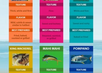 MustDo.com | Must Do Visitor Guides, a guide to Florida Gulf Seafood and Fish infographic.