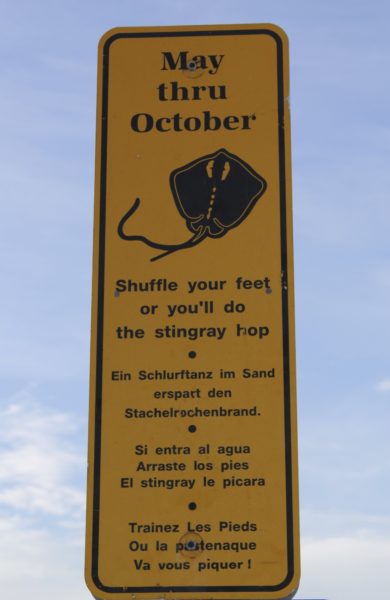 MustDo.com | Avoid being stung by a stingray while at the beach in Florida - do the "Stingray Shuffle".