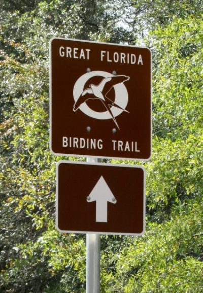 MustDo.com | Southwest Florida Birding Tips and locations