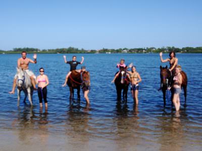 Must Do Vistor Guides | BeachHorses.com horse back riding on the beach Sarasota, FL