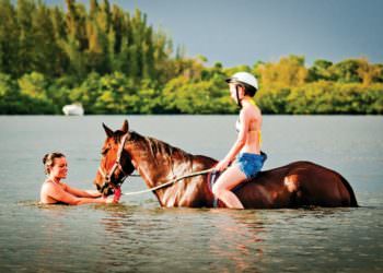 MustDo.com | Must Do Visitor Guides, Horseback riding swim Palma Sola Bay BeachHorses.com