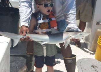 Exciting! Five year old's first shark catch aboard Sea Trek in Fort Myers Beach, Florida