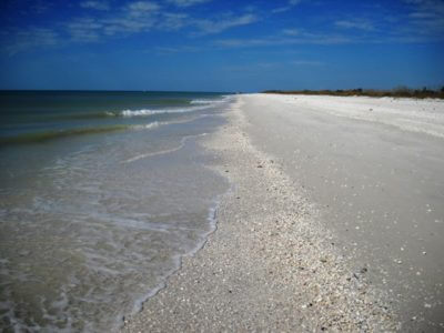 MustDo.com | Sunshine Tours offers shelling tours to the beautiful white sand beach of Keewaydin Island, Florida