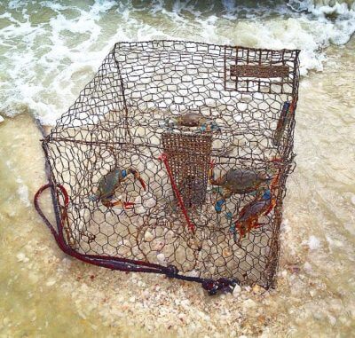MustDo.com Crab trap seen on Captain Bubby's IsLAND Tour Sanibel Island, Florida.