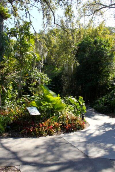 MustDo.com, Must Do Visitor Guides. Garden pathway at Marie Selby Botanical Gardens Sarasota, Florida.
