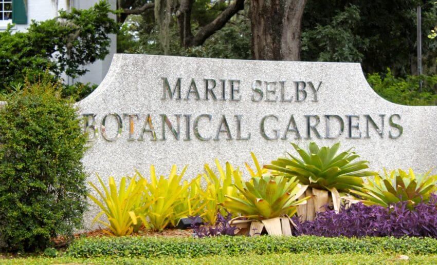 Marie Selby Botanical Gardens Sarasota, Florida USA. Must Do Visitor Guides, MustDo.com