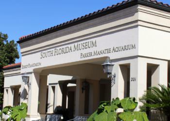 South Florida Museum Bradenton, Sarasota, Florida attractions. Must Do Visitor Guides, MustDo.com
