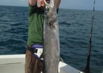 MustDo.com | Must Do Visitor Guides, What a catch! Sunshine Charters fishing charters on Marco Island, Florida