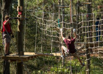 MustDo.com | Crawl, swing and zip line at TreeUmph! Adventure Course Bradenton, FL