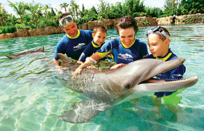 MustDo.com | Older kids (and parents) can fulfill their dream of swimming with dolphins at Discovery Cove in Orlando, Florida.