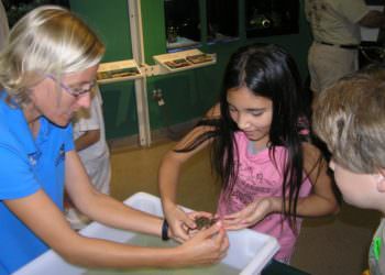 MustDo.com | Kids enjoy hands-on learning about marine critters at Rookery Bay Environmental Learning Center Naples, Florida.