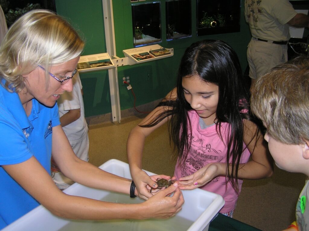 MustDo.com | Kids enjoy hands-on learning about marine critters at Rookery Bay Environmental Learning Center Naples, Florida.