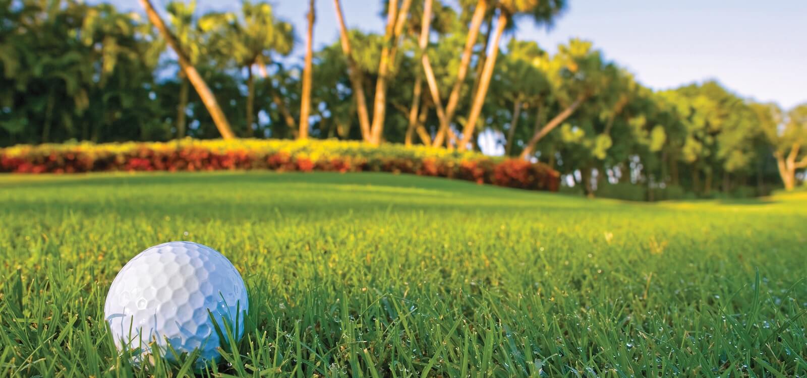 MustDo.com| Fort Myers, Florida top golf courses to play.