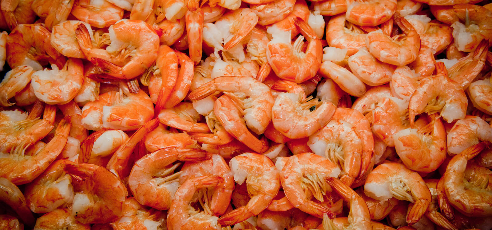 MustDo.com | Sweet pink Gulf shrimp! Sarasota, Siesta Key, Venice best restaurants to eat at while on vacation.