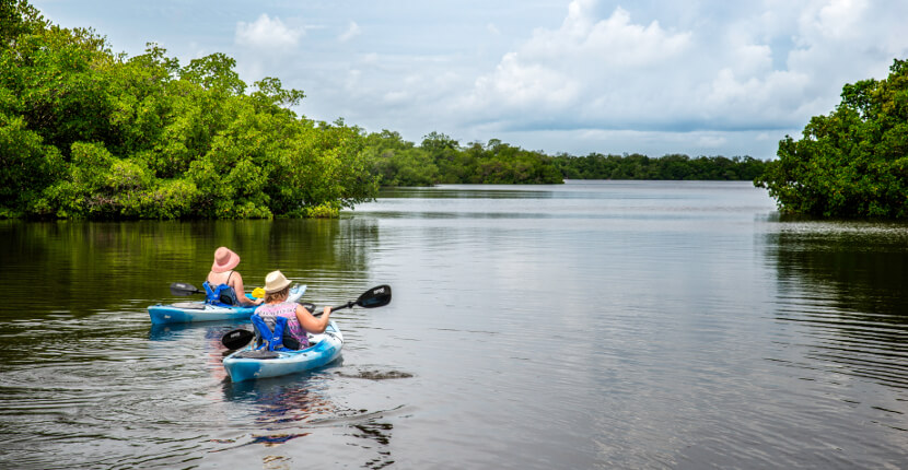 MustDo.com | Kayak tours and rentals J.N. Ding Darling Wildlife Refuge Sanibel Island, Florida. Photo by Jennifer Brinkman.