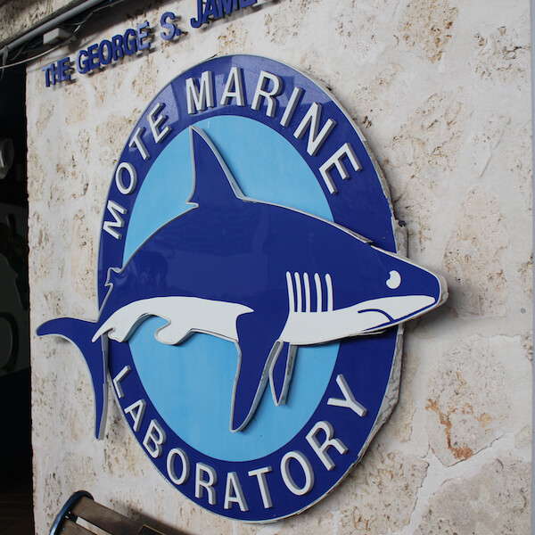 Mote Marine Aquarium Sarasota, Florida. Must Do Visitor Guides, MustDo.com