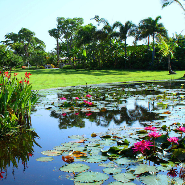 MustDo.com | Naples Botanical Garden, Naples, Florida. Must Do Visitor Guides Florida vacation information.