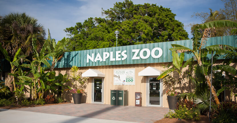 MustDo.com | The Naples Zoo at Caribbean Gardens, see favorites like lions, porcupines, and parrots in the tropical jungle of this historic Naples, Florida botanical garden. Photo by Mary Carol Fitzgerald.