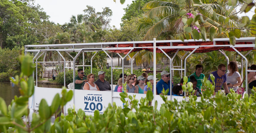 MustDo.com | See monkeys and other animals on a boat tour cruise at the Naples Zoo at Caribbean Gardens in Naples, Florida.