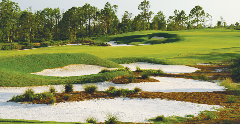 MustDo.com | Old Corkscrew Golf Club, Naples-area course was designed by Jack Nicklaus and voted best in Florida by Golf magazine. A breathtaking way to enjoy a round of golf.