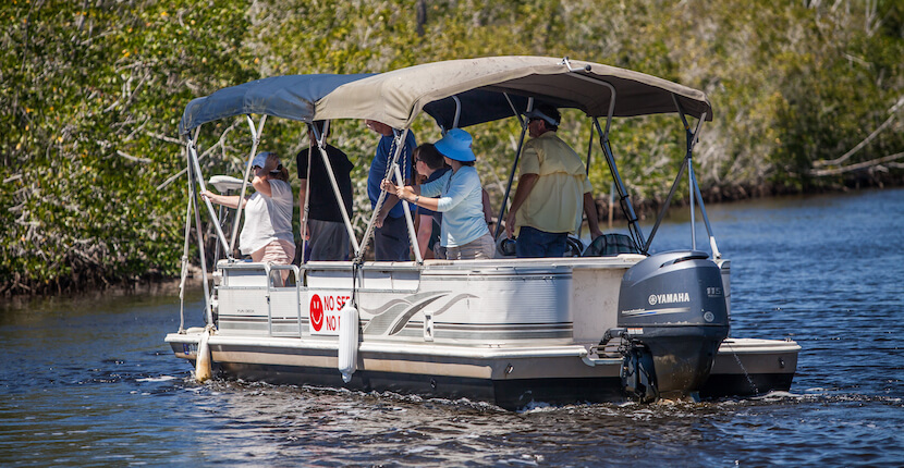 Guaranteed private manatee sightseeing tours for a maximum of six passengers with fully covered boats. If you don’t see a manatee, you don’t pay for the tour! See Manatees Guaranteed, Naples, Florida. Photo by Mary Carol Fitzgerald | Must Do Visitor Guides