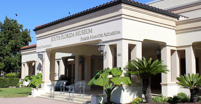Discover Florida’s story from the prehistoric to the present with life-sized casts of Ice Age mammals and fossils at the South Florida Museum, Bishop Planetarium & Parker Manatee Aquarium Bradenton, Florida USA. Must Do Visitor Guides, MustDo.com.