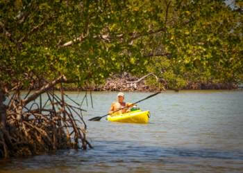 Kayaking is a great way to discover nesting waterbirds, wading herons, and other Florida wildlife in their native habitat. Must Do Visitor Guides, MustDo.com.