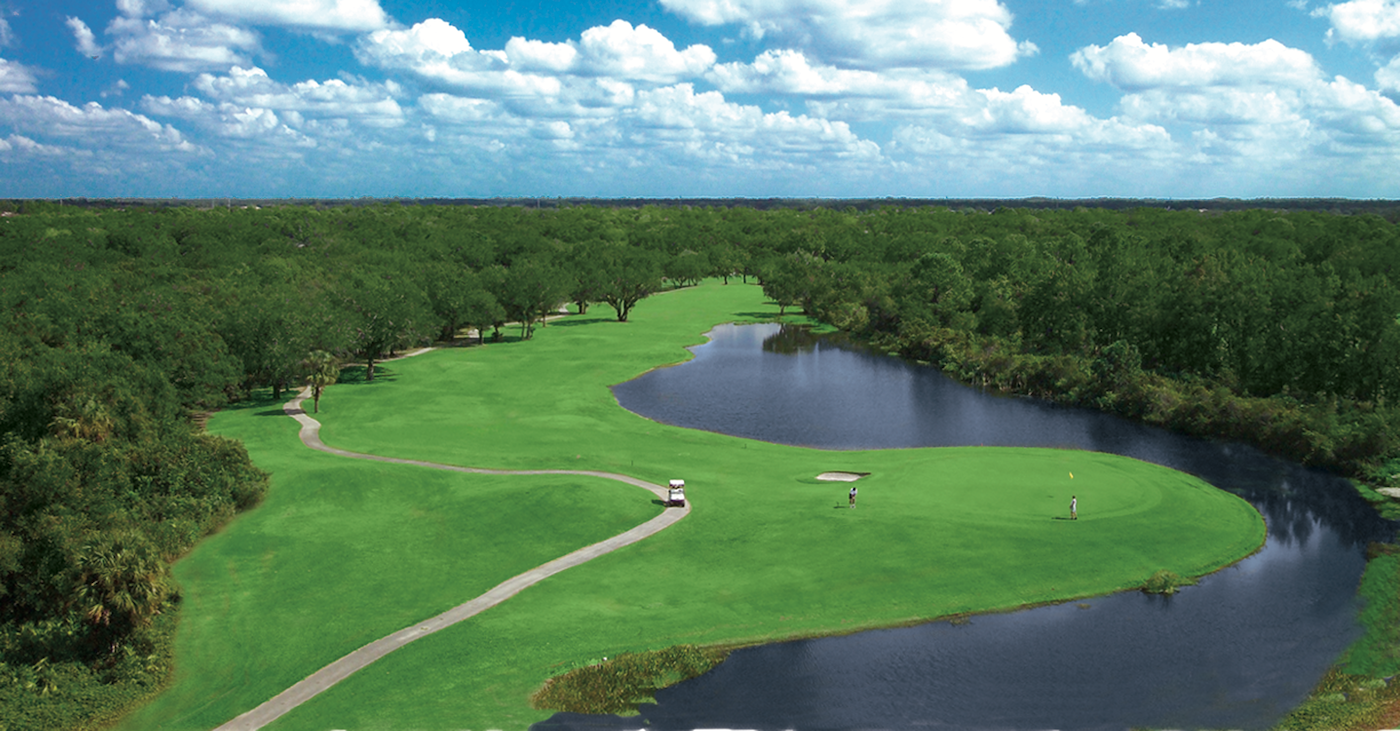 Misty Creek Country Club is set in a 350-acre wildlife preserve and surrounded by dense vegetation and moss-draped live oaks, it offers spectacular views from every tee. It is home to nesting bald eagles, deer, bobcat and alligators as well as 70 species of birds. MustDo.com