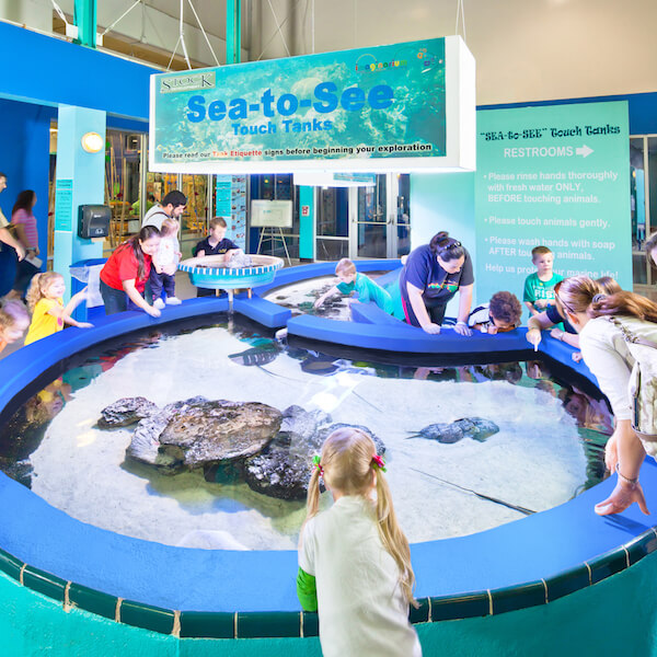 The IMAG History and Science Center in Fort Myers, Florida truly gives adults and children the opportunity to come face-to-face with science and nature through hands-on exhibits. | Must Do Visitor Guides