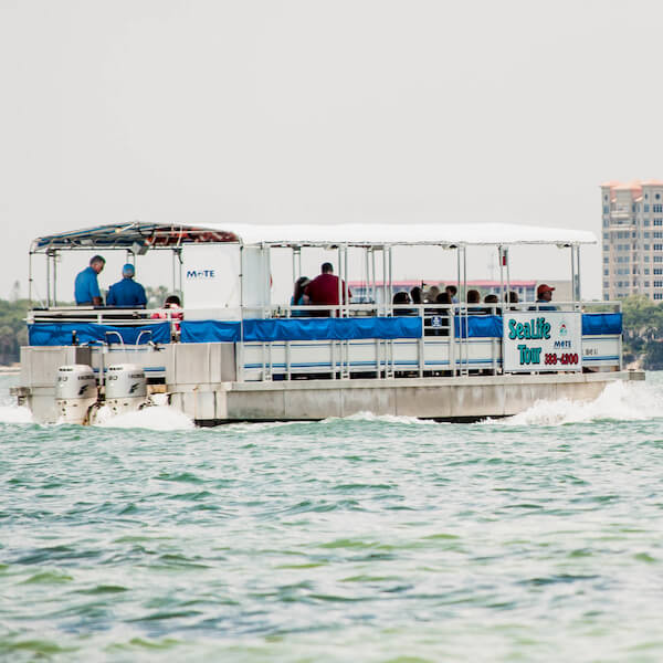Kids and adults love the hands-on marine wildlife experience on Sarasota Bay Explorers' Sea life eco tour boat cruise, Sarasota, Florida, USA. Photo by Debi Pittman Wilkey | Must Do Visitor Guides, MustDo.com