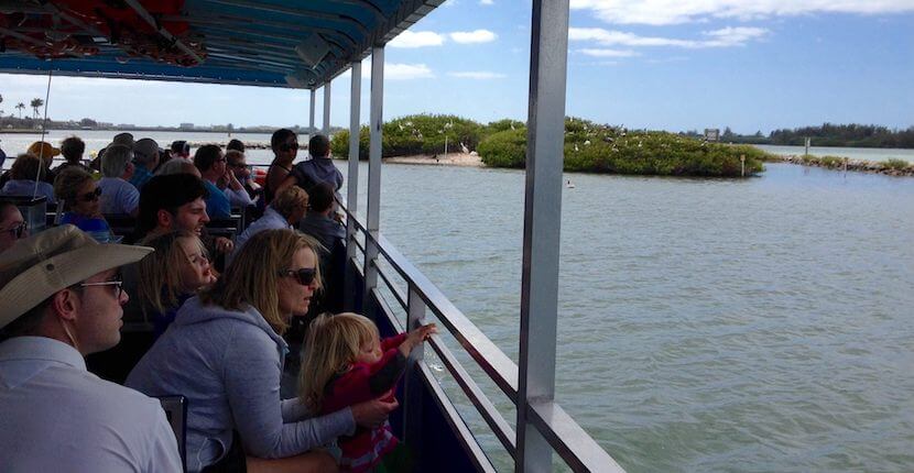 Sarasota Bay Explorers Sea life eco tour boat cruise, Sarasota, Florida, USA. | Must Do Visitor Guides, MustDo.com
