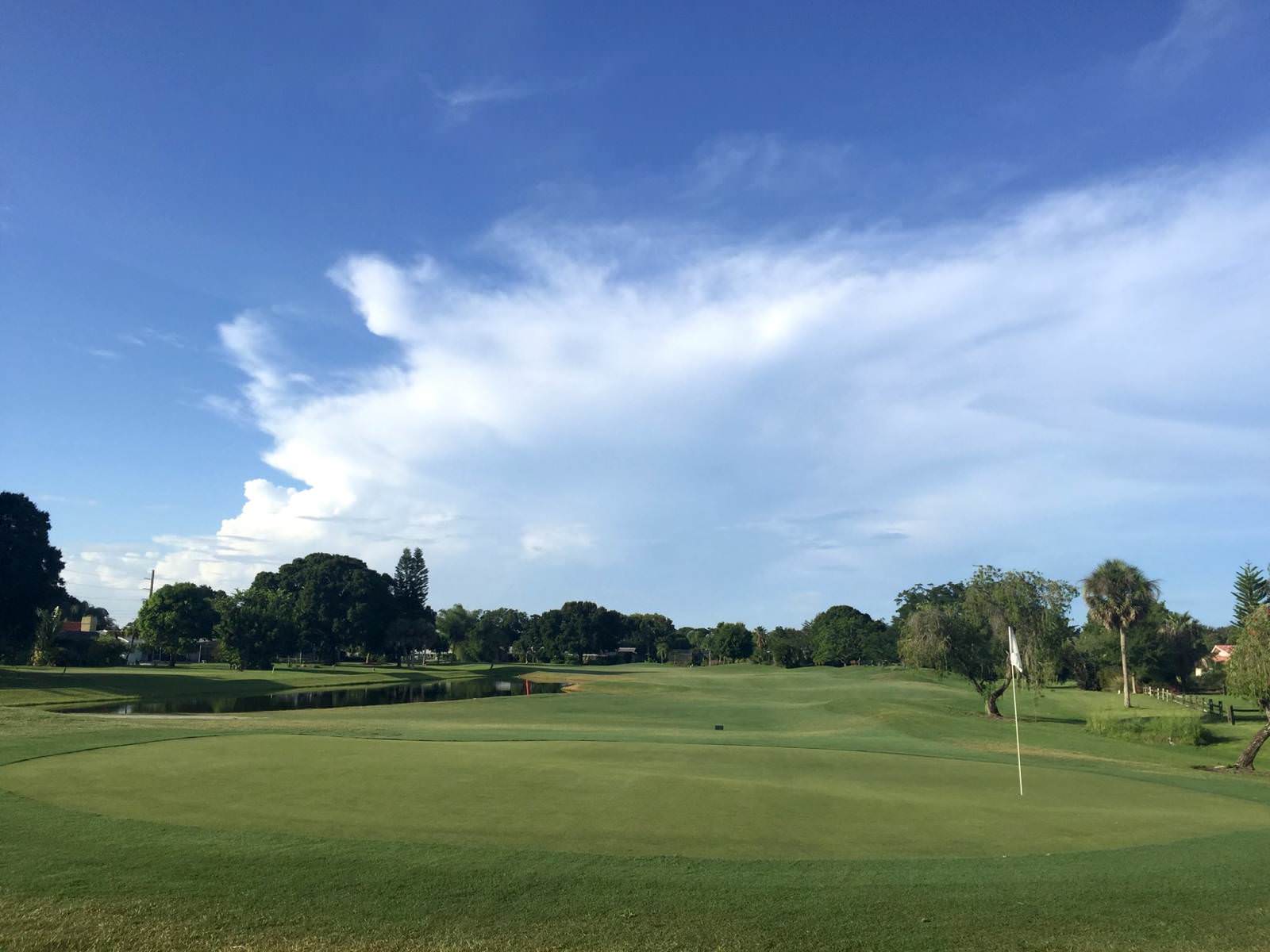 The redesigned Palms Golf Course at Forest Lakes is a must for any Sarasota golfer looking for a challenging course in beautiful surroundings. #golf #florida #sarasota #bestgolfcoursestoplay
