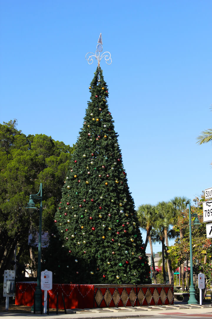 St. Armands Circle 51-foot Christmas tree and more than 40,000 lights during the holidays Sarasota, Florida. #Sarasota #christmas #starmandscircle #vacation #holidays #xmas #florida