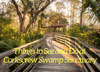 Things to See and Do at Corkscrew Swamp Sanctuary in Naples, Florida. Photo credit Jennifer Brinkman. | Must Do Visitor Guides, MustDo.com
