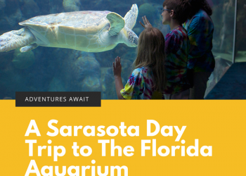 Here is a guide to help you get the most out of your visit to The Florida Aquarium in Tampa.