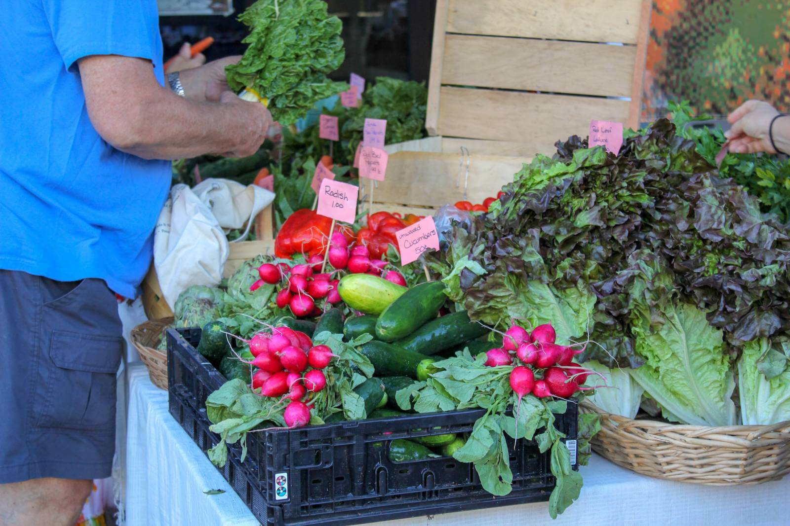 Florida Farmers Market with farm fresh vegetables, fruit, baked goods, seafood, and handcrafted items. Must Do Visitor Guides, MustDo.com. 